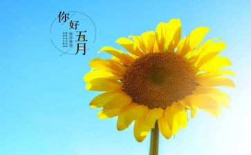 五月物业工作计划7篇