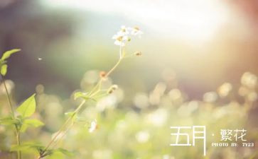 五月演讲稿7篇