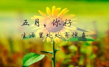员工五月工作总结8篇