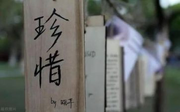 珍惜高三演讲稿8篇