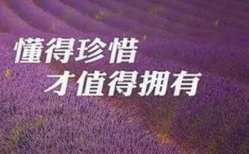 珍惜水演讲稿6篇