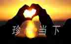 珍惜当下的作文6篇