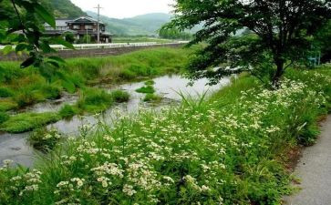夏季安全防溺水演讲稿8篇