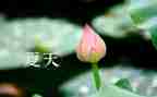 《生如夏花》作文精选8篇