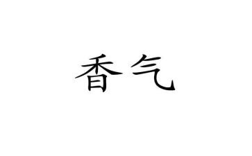 灵魂有香气的女子读后感8篇