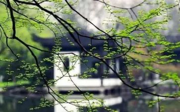 想起就开心的作文模板8篇