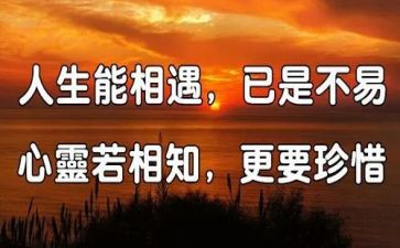 与树相遇作文推荐8篇