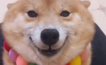 笑的读后感400字模板5篇