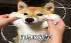 逗笑比赛作文5篇