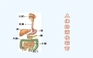 消化内科心得体会8篇