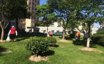 小区物业元旦活动方案8篇