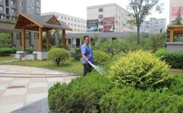 小区物业工作总结6篇