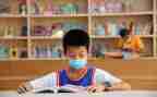 小学劳动主题教育活动方案5篇