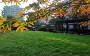 护校园主题演讲稿6篇