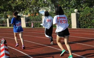 校运会体会心得体会5篇