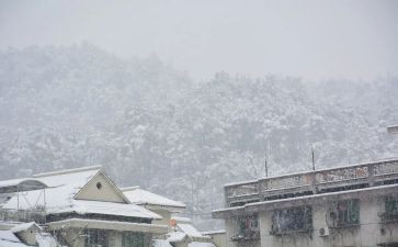 《下雪了》教案参考6篇