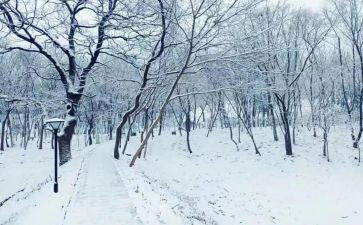 下雪了活动教案5篇