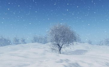 2024年下雪作文精选5篇