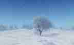2024年下雪作文精选5篇