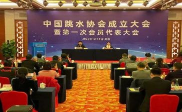会计师协会工作总结5篇