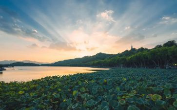 游西湖心得体会6篇