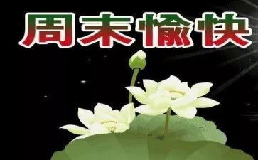 写那个星期天的作文7篇