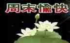 写那个星期天的作文7篇