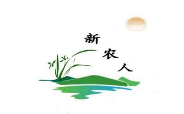 乡镇新农合工作工作总结5篇