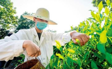 建设新农村的调查报告8篇