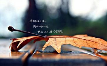 有关心情的作文7篇