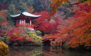 写欣赏类的演讲稿范文6篇
