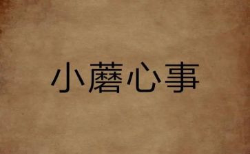 开心事作文800字5篇