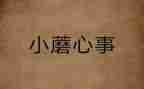 开心事作文800字5篇
