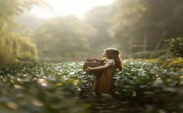 心中的他作文800字精选7篇