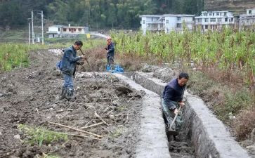 修水沟合同8篇