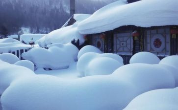 雪的优秀作文100字6篇
