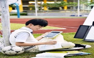 学长制工作总结5篇