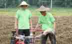小学干部主要事迹8篇