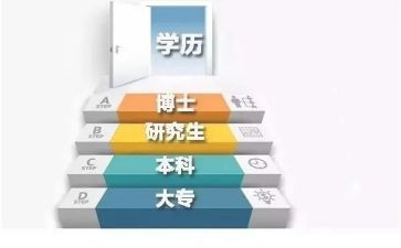 学历史的心得最新5篇