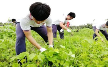 学农民画心得体会5篇