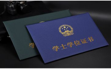 调学位申请书5篇