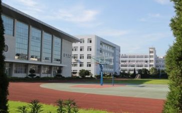 2023学校学习心得体会参考8篇