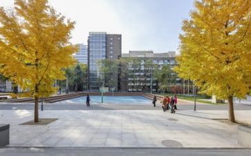 高等学校毕业生自我鉴定范文8篇