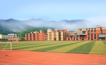 学校元旦晚会心得体会8篇