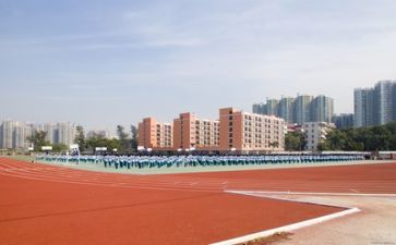 在学校的心得体会800字6篇