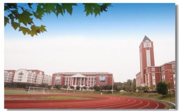 学校年工作总结推荐7篇