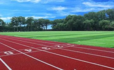 学校20231年工作计划参考7篇