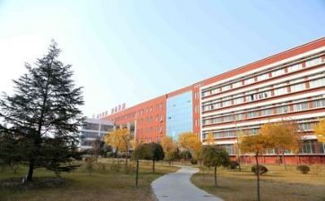 学校2023工作总结参考7篇