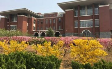 学校3.8活动总结精选5篇
