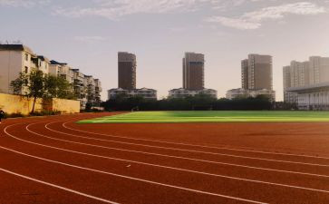 学校体育教师工作总结7篇